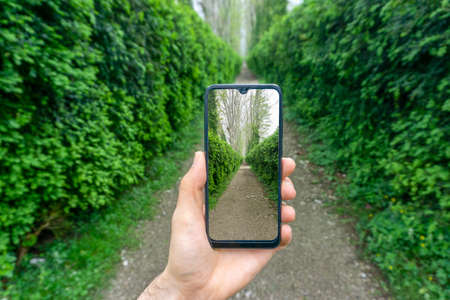 Hand with a smartphone picture on the background of nature, greenery and the road in the park. Photography, internet and networking in travel conceptの写真素材
