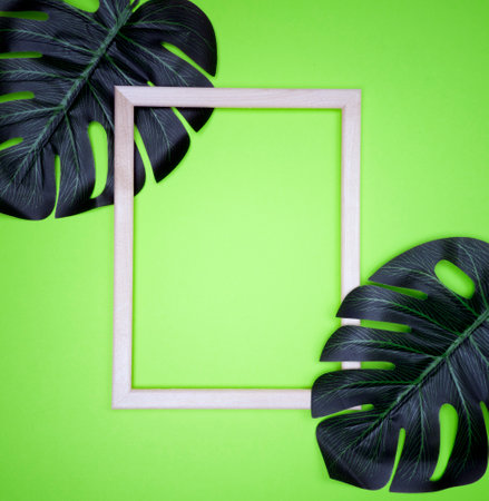 Summer composition with monstera leaves. Tropical leaves, empty photo frame on pastel green background.の写真素材