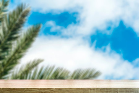 Tropical desk table background. Blurred tropical palm branch against the background of clear sky....