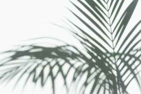 Shadow palm overlay background. Blurred shadow of a tropical branch of a palm tree on a white light...