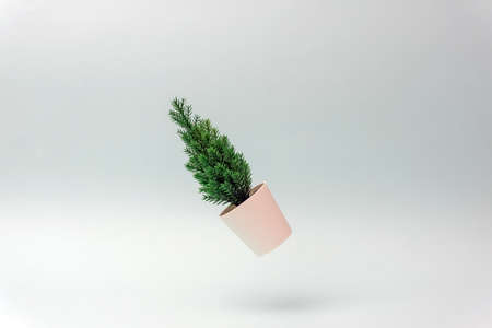Minimalistic Christmas tree spruce tree on a blue background. New Year concept. Flat lay, copy spaceの写真素材