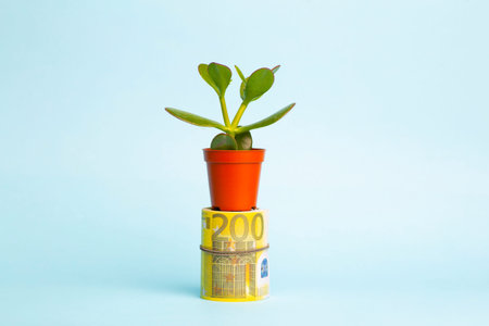 Money growth concept. Income and capital in growth. Young plant in a pot on euro cash on a blue...