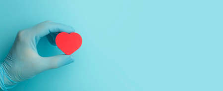 Heart in the hands of a doctor on a colored banner background. Donation, charity, health treatment, help concept. Medical health background and love.の写真素材