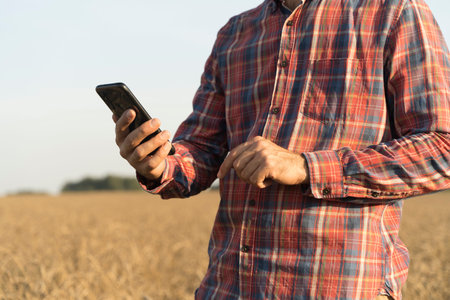 Farmer with a smartphone in his hand against the background of a wheat field during the harvest....