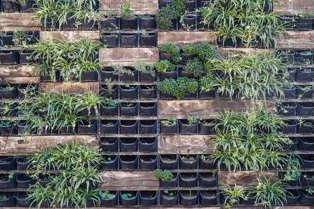 plant facade wall. Live plants in pots on the wall. Design and flower decoration of urban street objects. high quality photoの写真素材