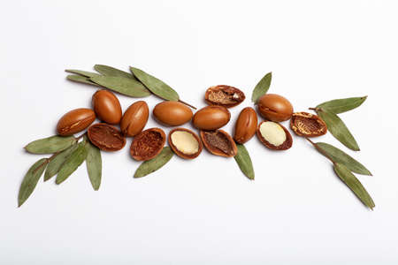 Argan seeds isolated on a white background. Argan oil nuts with plant. Cosmetics and natural oils background. high quality photoの写真素材