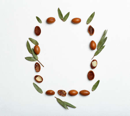 Argan seeds isolated on a white frame background. Argan oil nuts with plant. Cosmetics and natural oils backgroundの写真素材