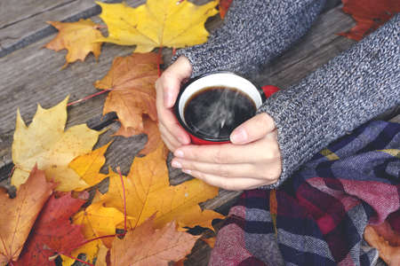 Autumn drink tea or coffee in hands on the background of October yellow leaves. Autumn comfort and mood background concept. high quality photoの写真素材