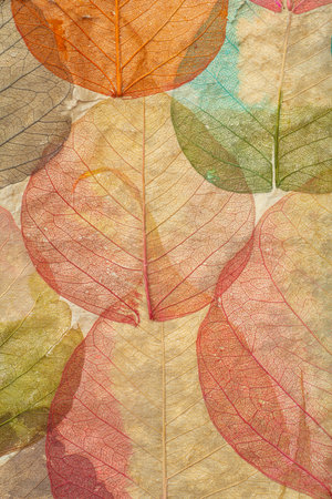 Leaves close up background. Dry in old leaves with a micro pattern on a light, decorative...