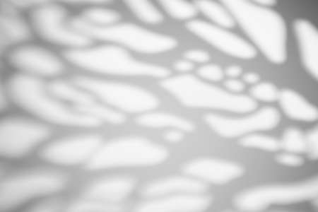 The shadow from the leaves of a tree on a white wall in sunny weather with bright light. Shadow overlay effect for photo.の写真素材