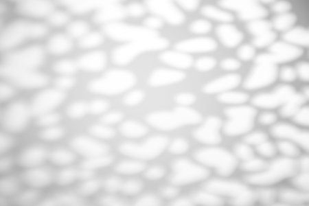 The shadow from the leaves of a tree on a white wall in sunny weather with bright light. Shadow...