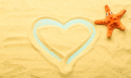 Summer, vacation on the beach by the sea background. Sea and ocean shells on the sand of the beach in sunny summer weather. Sea, ocean and relaxation backgarund.の写真素材