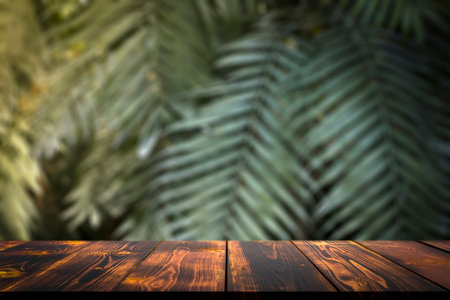 Jungle table background. Interior table for a cosmetic item against the backdrop of tropical plants,...