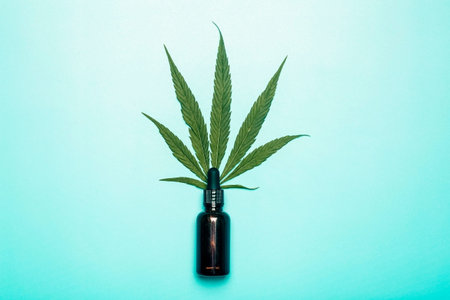 Cannabis oil cannabidiol. Medical cannabis marijuana and extract cbd on blue background.