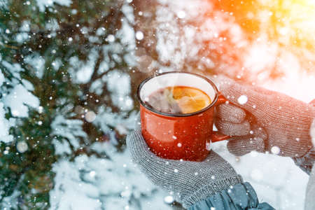 Mulled wine in the hands of a girl during a snowfall in the forest. Winter hot drinks with aromatic spices of cinnamon, cardamom and orange. Warmth, comfort and atmosphere of December nature and Christmas. High quality photoの写真素材