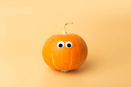 Pumpkin minimal concept. Autumn pumpkin on an empty colored background. Thanksgiving and halloween conceptの写真素材