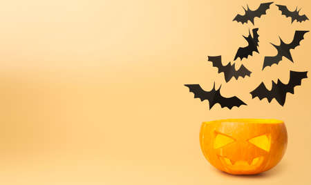 Helloween pumpkin background. Halloween pumpkin with paper cut bats on an autumn orange background. Minimal flat lay conceptの写真素材