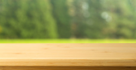 Nature table background. Empty wooden table on the background of summer sunny nature, grass and forest.の写真素材