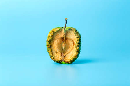 Old dried apple on a blue minimal background. Spoiled and shriveled fruits and vegetables. Old age and skin concept.の写真素材