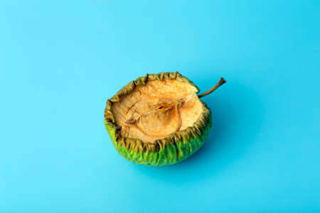 Old dried apple on a blue minimal background. Spoiled and shriveled fruits and vegetables. Old age and skin concept.の写真素材