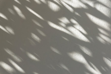 Shadow overlay effect. Blur shadows of plants and tree leaves on a white clean wall.