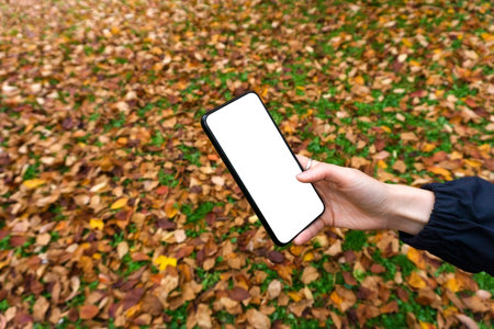 Smartphone screen with hand on a background of yellow autumn leaves in an park. Using a smartphone...
