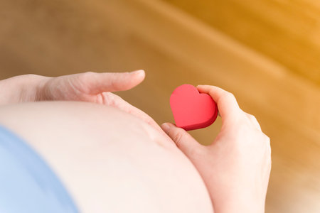 A pregnant woman after IVF holds a small red heart in her hands. The concept of motherhood,...