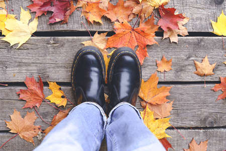 Legs on a background of autumn leaves. Womens feet in leather boots against the background of fallen yellow foliage in October. Autumn mood and comfort.の写真素材