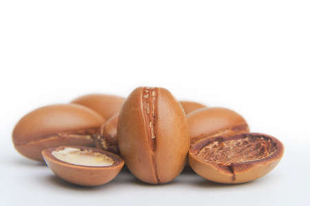 Argan seeds isolated on a white background. Argan oil nuts with plant. Cosmetics and natural oils background.の写真素材