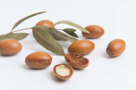 Argan seeds isolated on a white background. Argan oil nuts with plant. Cosmetics and natural oils background.の写真素材