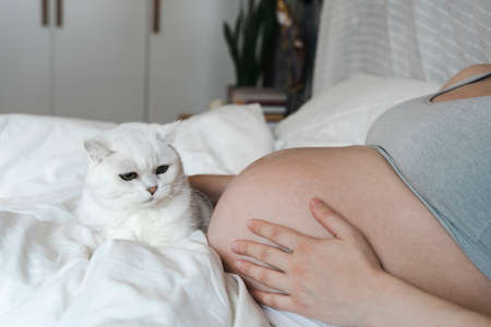 A pregnant woman strokes her belly with a baby before childbirth while relaxing in a sunny bright bedroom lying on a bed. Womens health, pregnancy, conception, childbirth concept.の写真素材