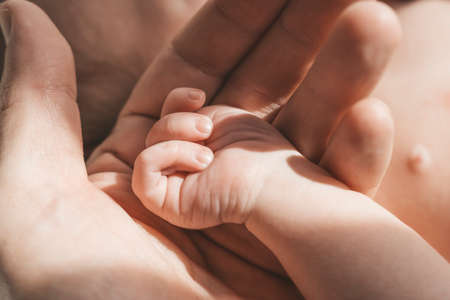 Babys hand. The father holds with tenderness and love the small hand of the newborn. New life, parental protection, care, love, child and baby healthの写真素材
