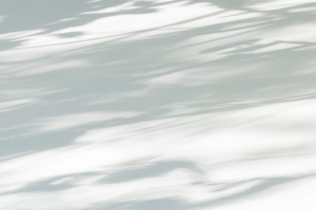 Shadow overlay effect for photo. Shadows from tree leaves and tropical branches on a white wall in...