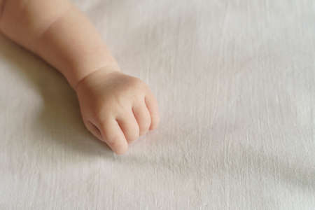Babys hand on a white background. Care, parenthood, protection concept.の写真素材
