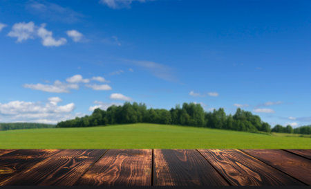 Wooden table on summer field nature background. Showing product on blurred countryside farm landscape backdrop concept. Selected focusの写真素材