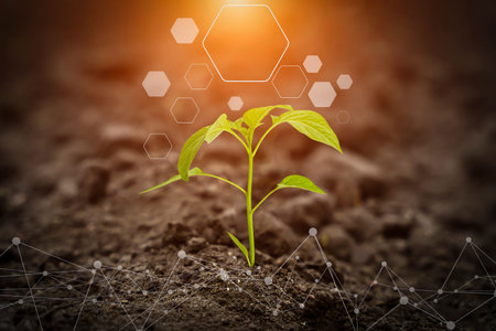 Agricultural technologies for growing plants and scientific research in the field of biology and...