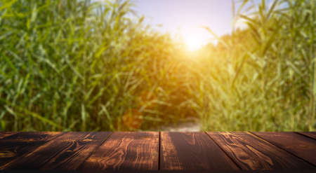 Wooden table on green grass blurred background. Display for showing product conceptの写真素材