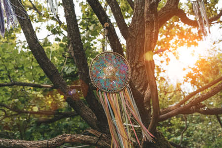 Dream catcher background. Native American decoration and shamanic item on a tree in the forest. Boho, decor, lifestyle concept.の写真素材