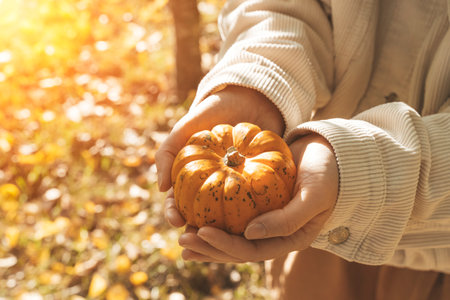 Pumpkin in the hands of a girl. Decorative orange pumpkin on a background of autumn foliage. Autumn coziness and mood, halloween, thanksgiving day concept.の写真素材