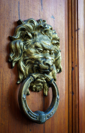 Antique decorative handle knocker on wooden vintage house door. Classical metal bronze lion head