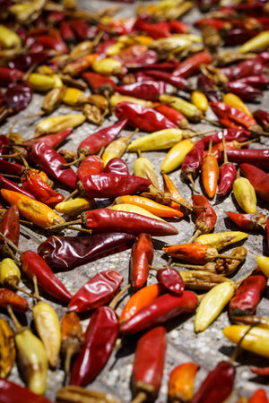 Chili pepper background. Hot red chili peppers are dried in the sun outside. Mexican cuisine, spices, food concept.の写真素材