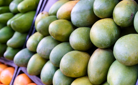 Ripe green mangoes at the fruit market. Harvest of exotic sweet mangoes and fruits. Selected focusの写真素材