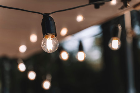 Garland of light bulbs for the evening decor of the yard and at home.