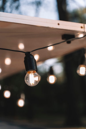 Garland of light bulbs for the evening decor of the yard and at home.