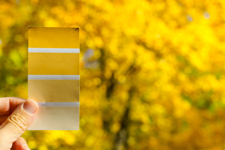 Swatch of autumn colors against a background of yellow autumn leaves. Idea, concept, design.の写真素材