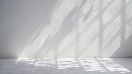 The Sun Is Shining Through The Window And Casting A Shadow On The Floorの素材