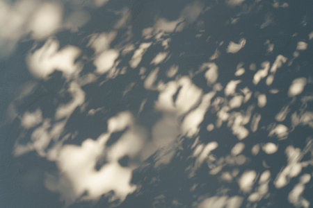 Shadow of a tree on the wall. Swaying shadows of leaves on a white brick wall in sunlight. Shadow overlay effectの写真素材