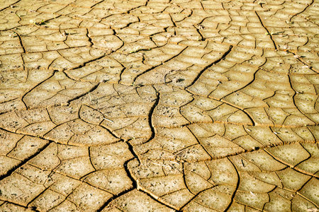 Cracked dry earth background. Heat, drought, climate change concept.