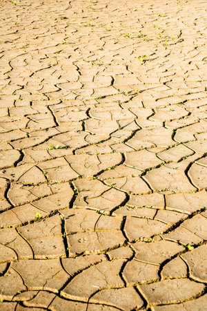 Cracked dry earth background. Heat, drought, climate change concept.