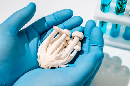 Mushroom in science lab. Biotechnology and medicine conceptの写真素材